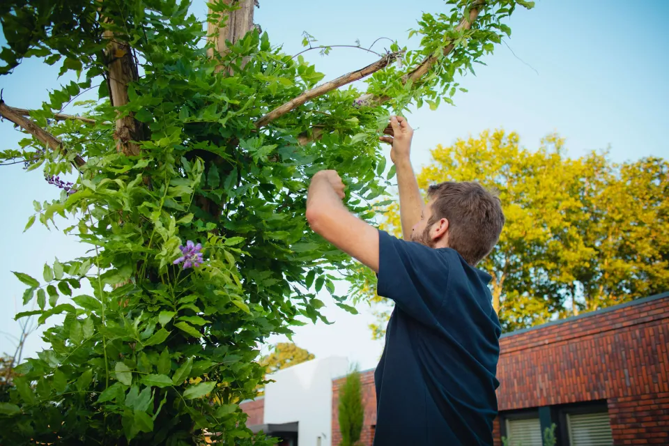 Chris werkt aan de planten in een Urban Tree
