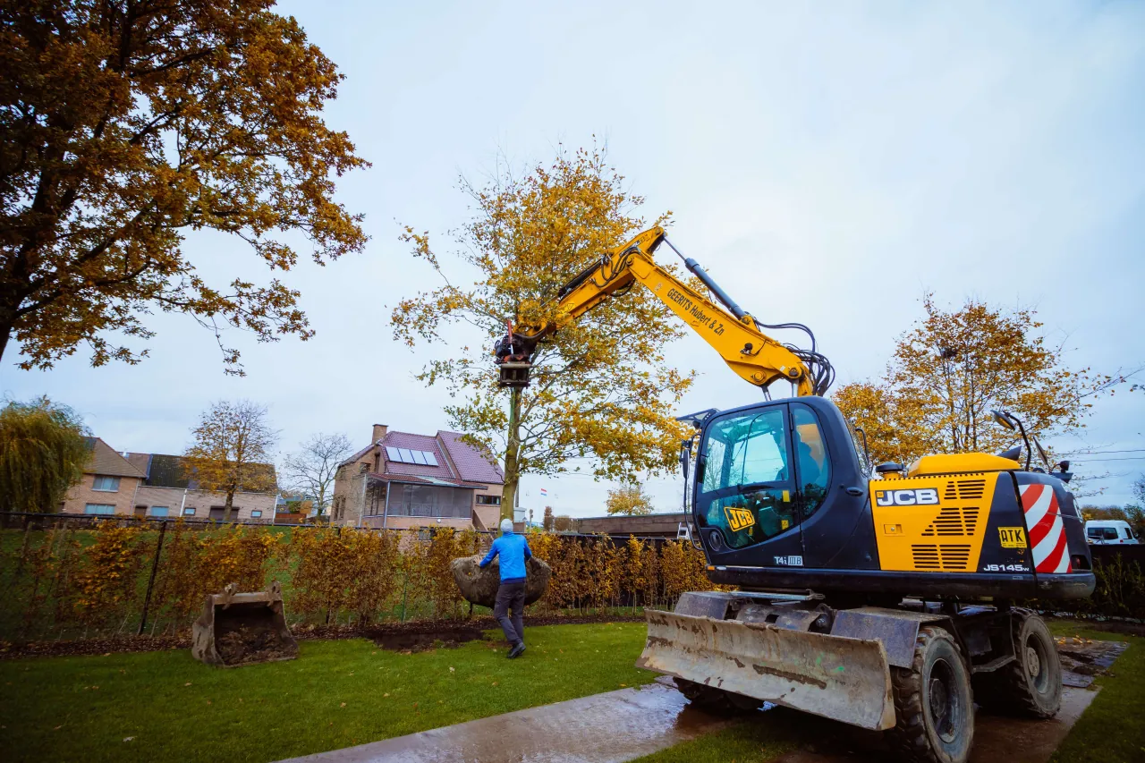 Boom plaatsen in tuin met mobiele kraan